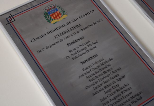 Conheça os vereadores eleitos para a 19ª legislatura
