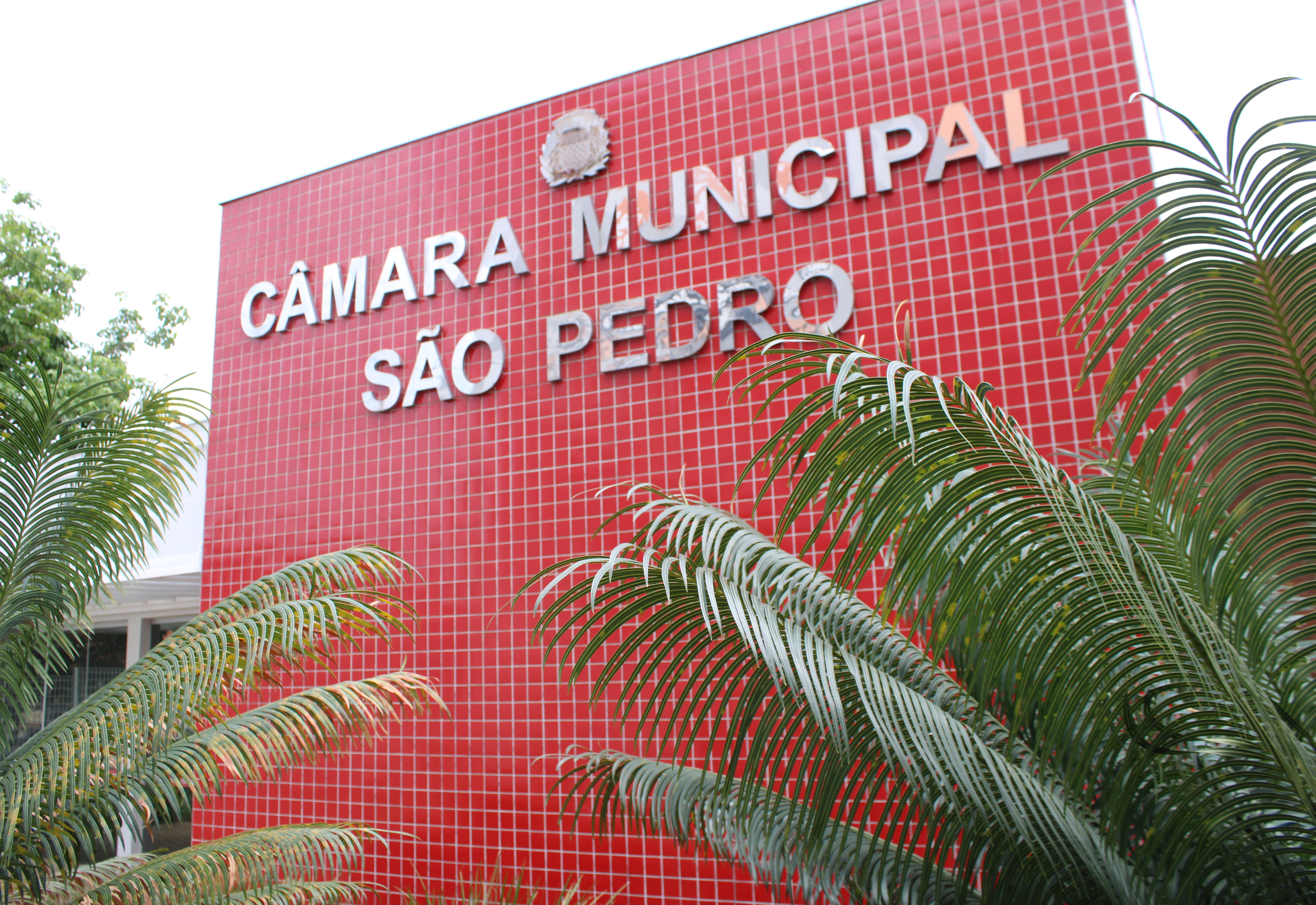 Projeto de Lei nº 90/2025 favorece crianças e adolescentes diabéticos