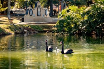 Foto - CIDADE