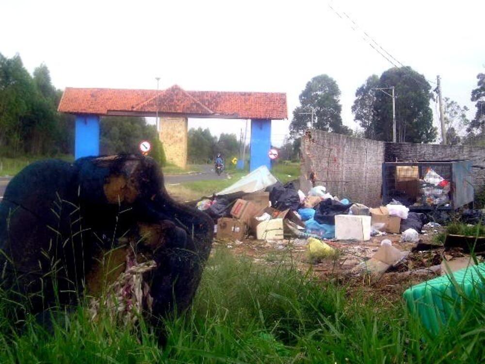 THIAGO SILVA REQUER INFORMAÇÕES SOBRE COLETA DE LIXO NO PORTAL DA SERRA