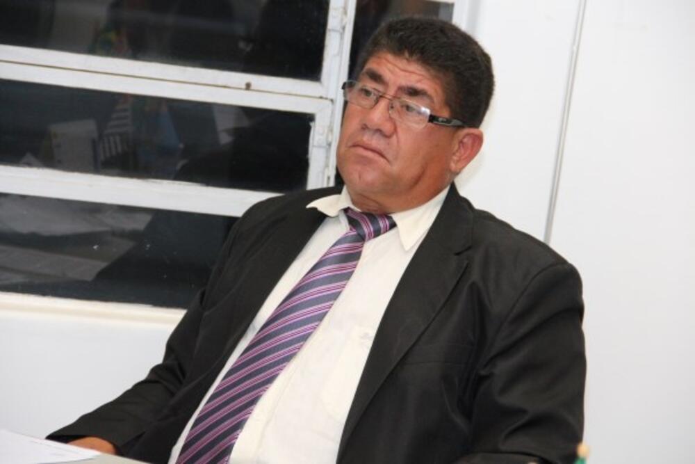TONINHO DINGÃO SUGERE PROJETO DE LEI VISANDO COIBIR A PODA IRREGULAR DE ÁRVORES PELA CPFL